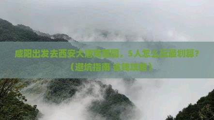 咸阳去西安大唐芙蓉园团体旅游