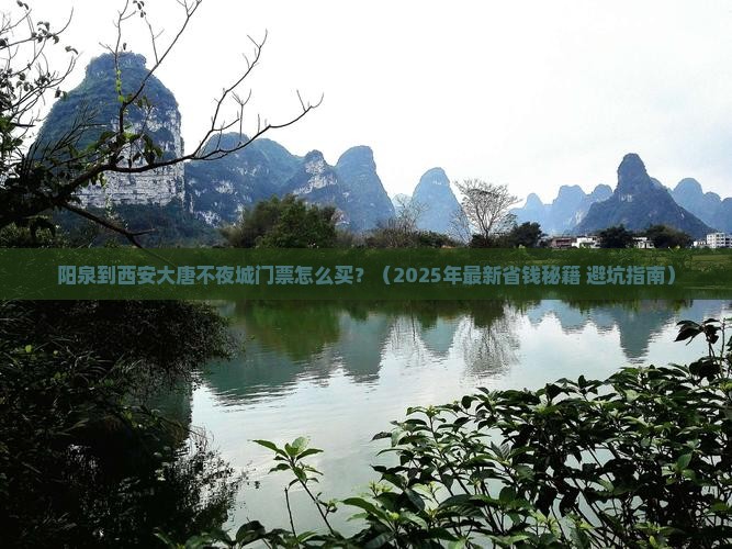 阳泉去西安大唐不夜城门票