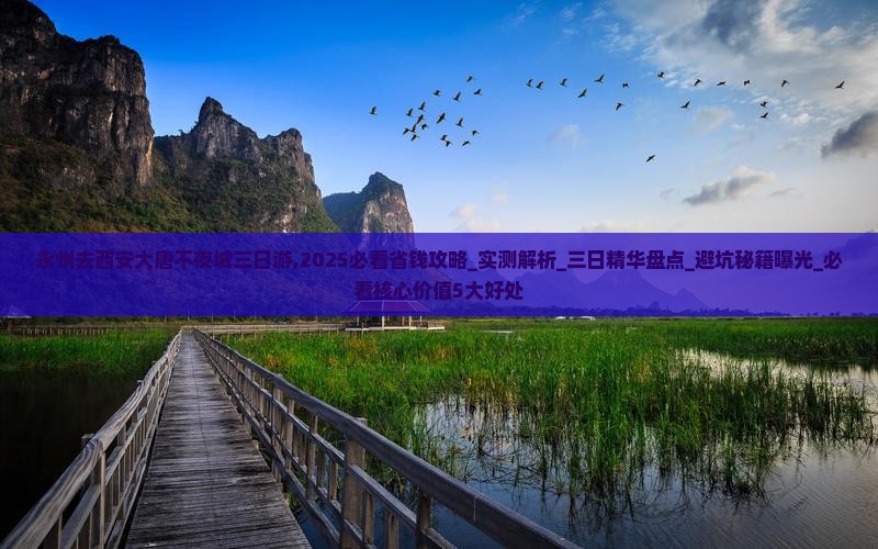 永州去西安大唐不夜城三日游