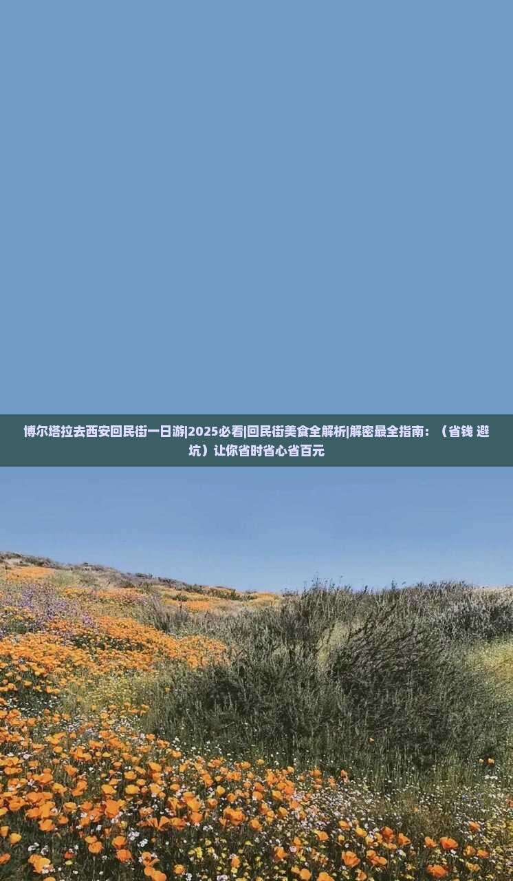 博尔塔拉去西安回民街一日游