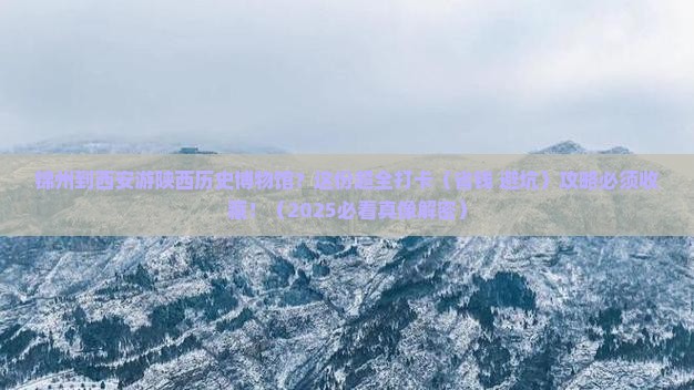 锦州到西安陕西历史博物馆旅游小吃
