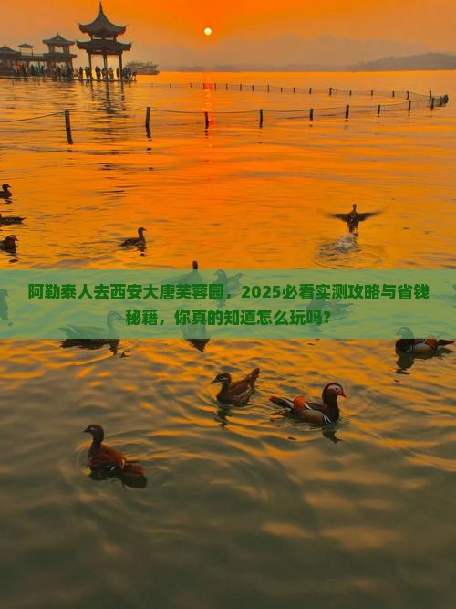 阿勒泰去西安大唐芙蓉园必去地