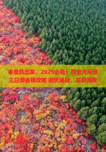 秦皇岛到西安大雁塔三日游