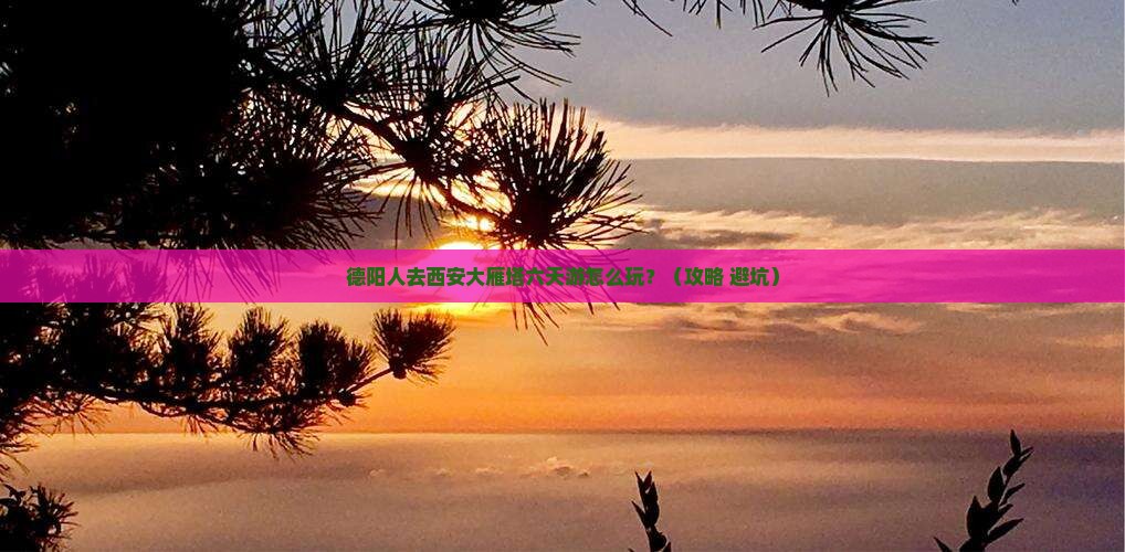 德阳去西安大雁塔六日游