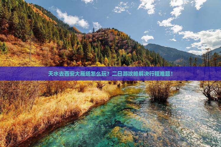 天水去西安大雁塔二日游