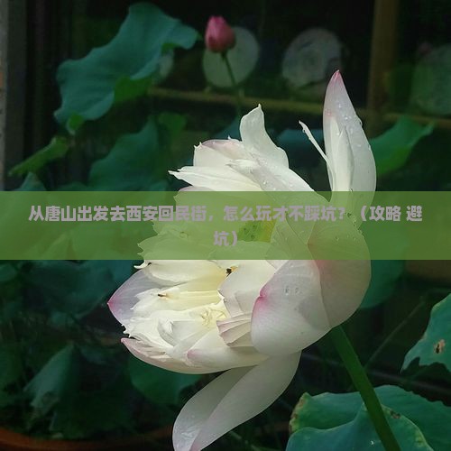 唐山去西安回民街哪里玩 唐山去西安回民街哪里玩