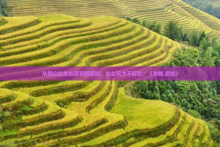 唐山去西安回民街哪里玩 唐山去西安回民街哪里玩