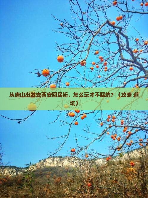 唐山去西安回民街哪里玩 唐山去西安回民街哪里玩