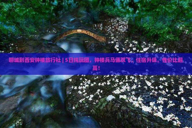 聊城到西安钟楼旅行社