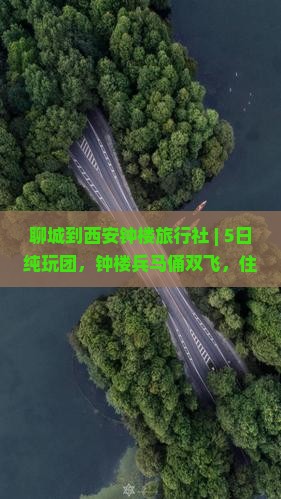 聊城到西安钟楼旅行社