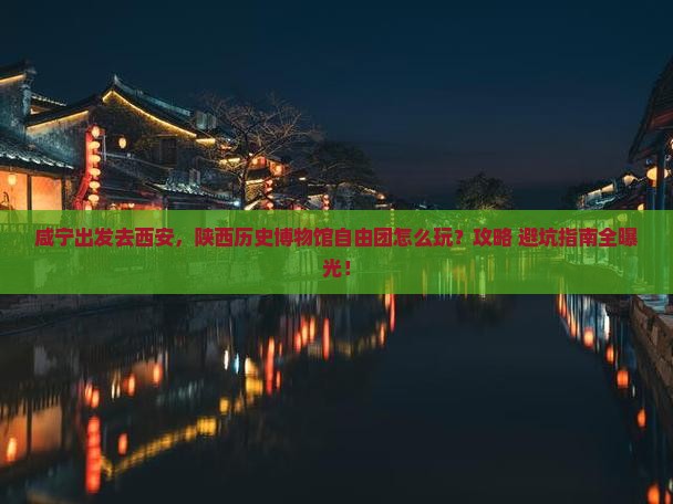 咸宁到西安陕西历史博物馆自由团