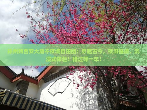 徐州到西安大唐不夜城自由团
