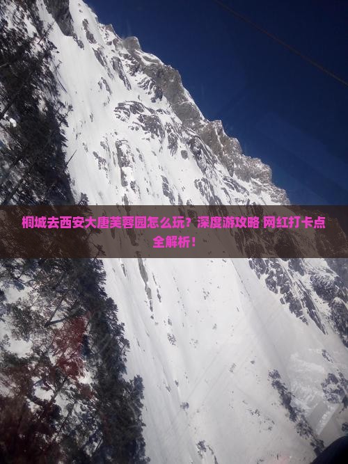 桐城去西安大唐芙蓉园旅行社