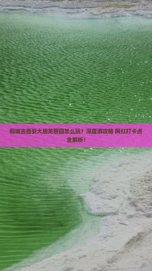 桐城去西安大唐芙蓉园旅行社
