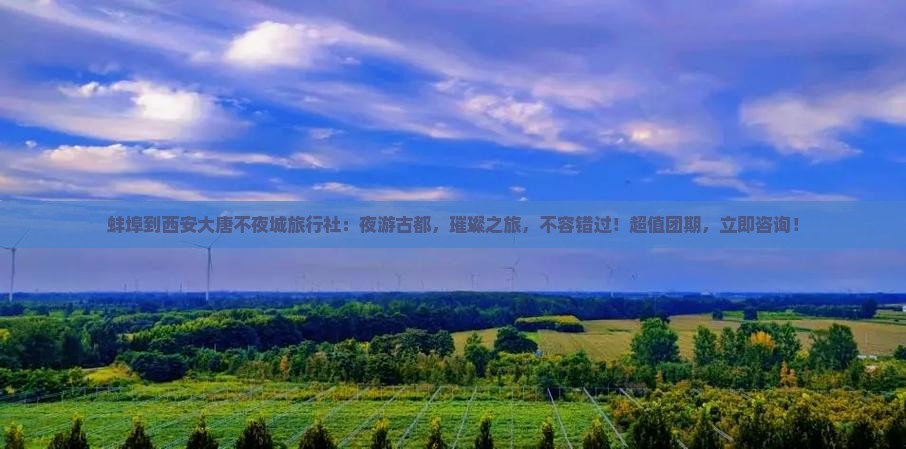 蚌埠到西安大唐不夜城旅行社