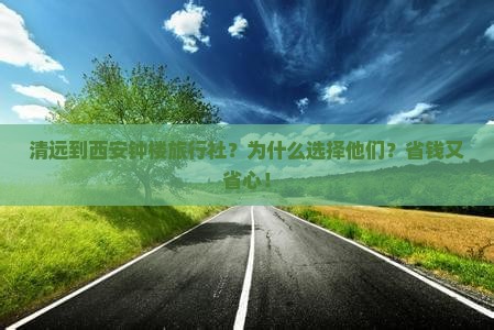 清远到西安钟楼旅行社