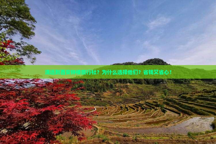 清远到西安钟楼旅行社