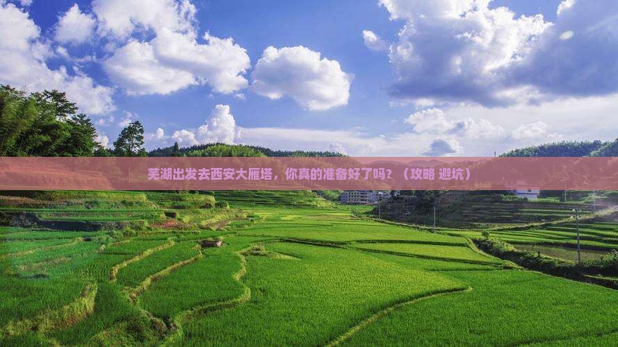 芜湖到西安大雁塔个人游