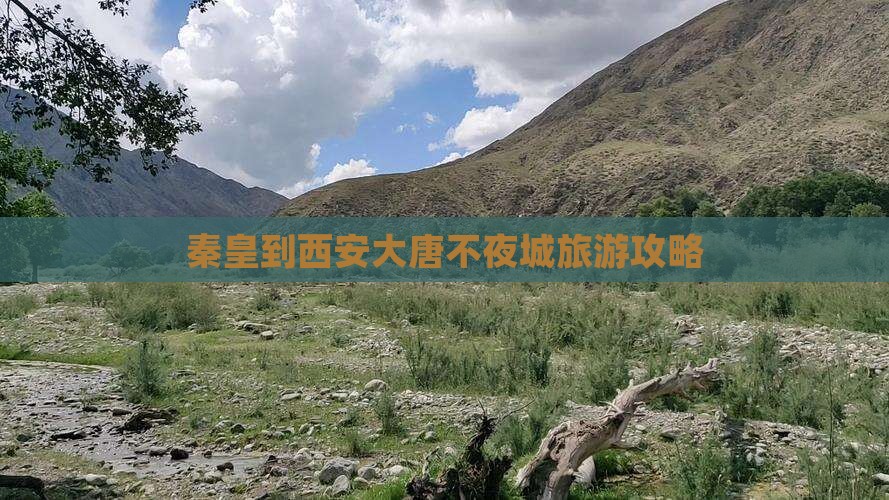 秦皇岛到西安大唐不夜城旅游小吃