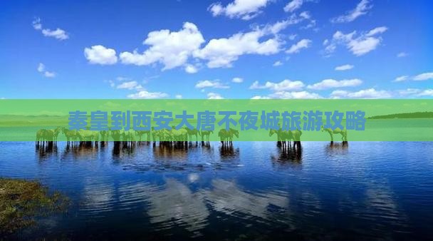 秦皇岛到西安大唐不夜城旅游小吃