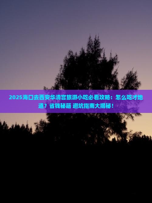 海口去西安华清宫旅游小吃