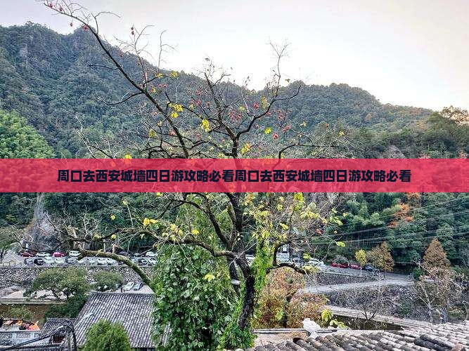 周口去西安城墙四日游