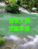 春天去西安大明宫国家遗址公园门票
