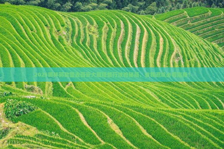 锡林郭勒盟去西安大雁塔旅行社