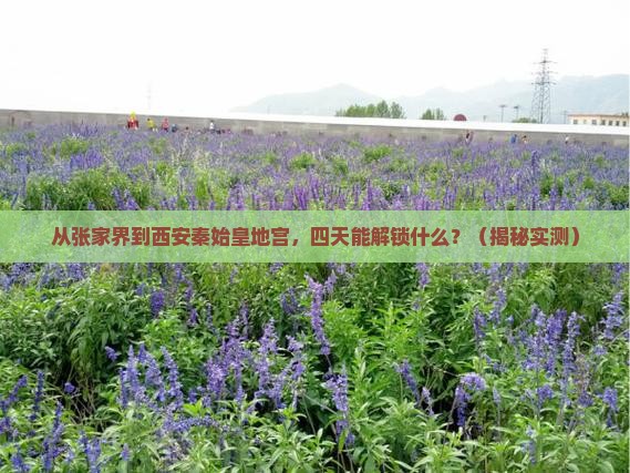 张家界去西安秦始皇帝陵博物院四日游