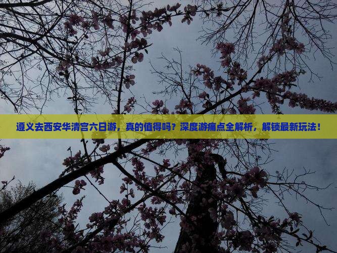 遵义去西安华清宫六日游