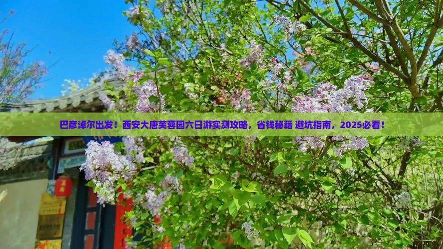 巴彦淖尔到西安大唐芙蓉园六日游