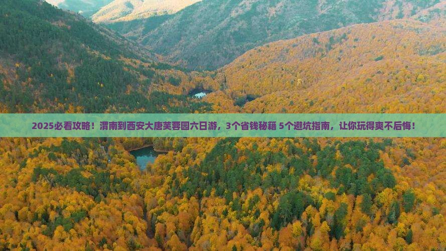 渭南到西安大唐芙蓉园六日游