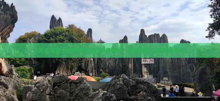 八月到西安大唐芙蓉园五日游
