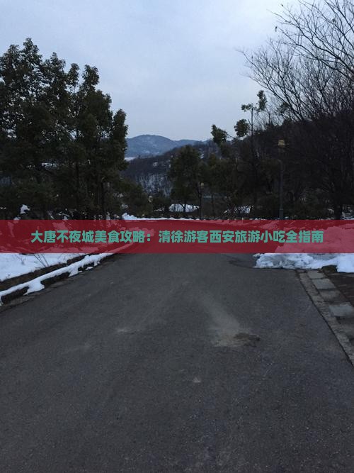 清徐去西安大唐不夜城旅游小吃