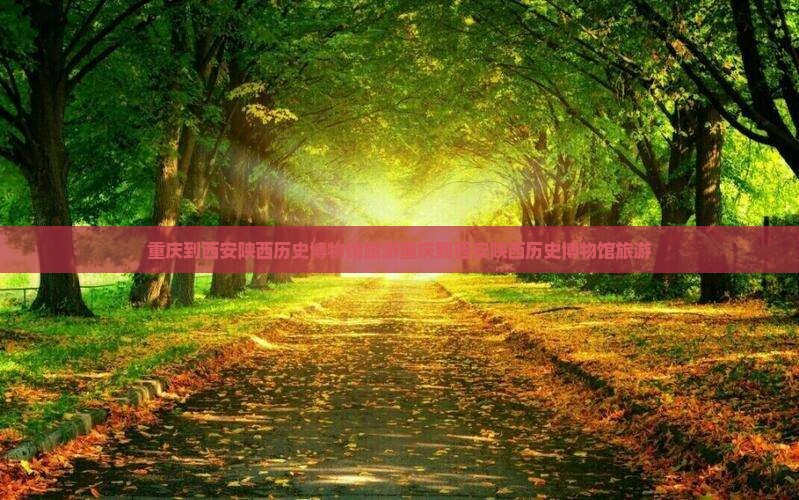 重庆到西安陕西历史博物馆旅游