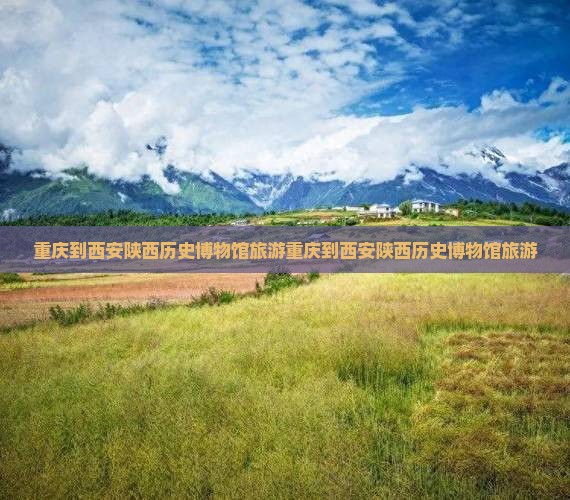 重庆到西安陕西历史博物馆旅游