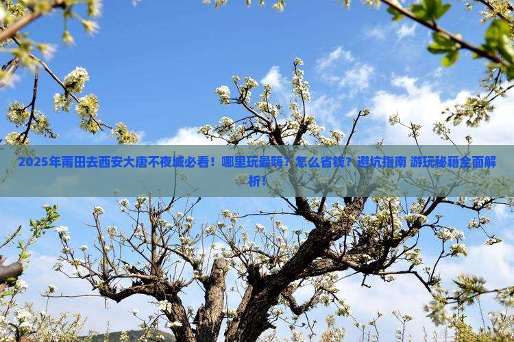莆田去西安大唐不夜城哪里玩