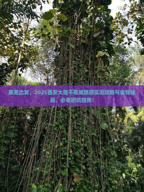 莱芜到西安大唐不夜城旅游