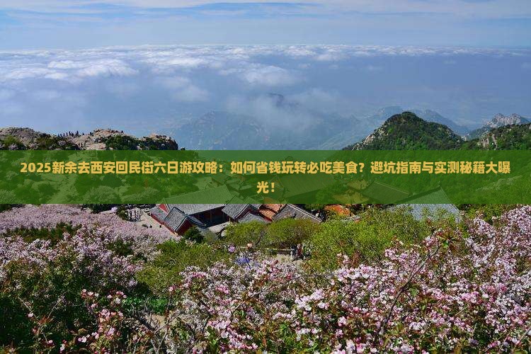 新余去西安回民街六日游