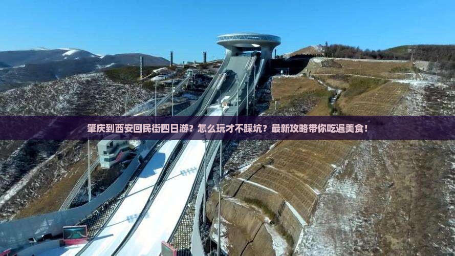 肇庆到西安回民街四日游