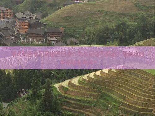 肇庆到西安回民街四日游