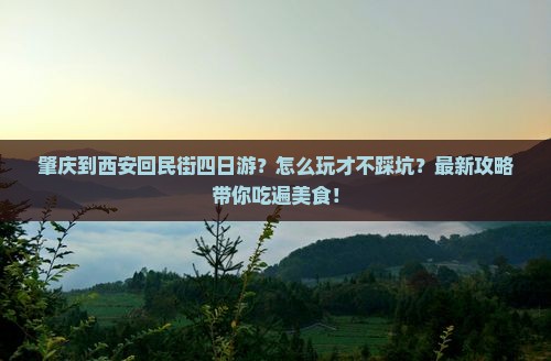 肇庆到西安回民街四日游