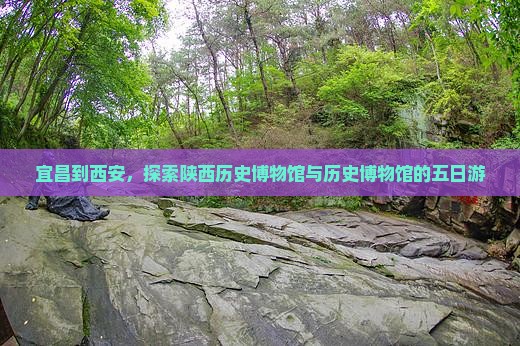 宜昌到西安陕西历史博物馆五日游