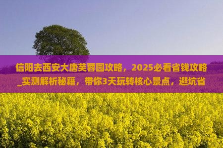 信阳去西安大唐芙蓉园攻略