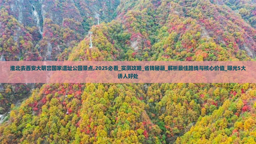 淮北去西安大明宫国家遗址公园景点 淮北去西安大明宫国家遗址公园景点