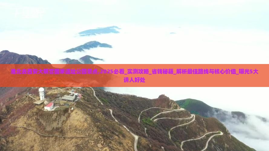 淮北去西安大明宫国家遗址公园景点 淮北去西安大明宫国家遗址公园景点