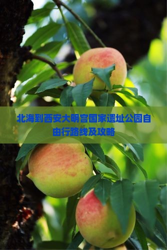 北海到西安大明宫国家遗址公园自由行