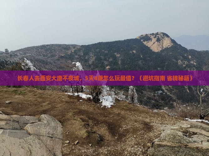 长春去西安大唐不夜城团体旅游