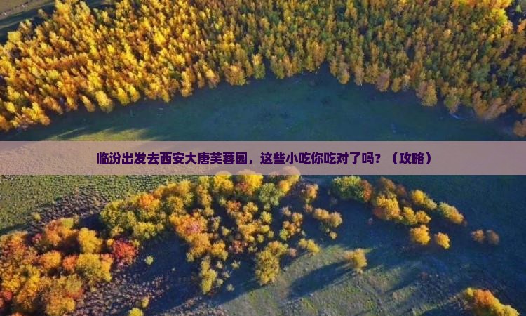 临汾去西安大唐芙蓉园旅游小吃