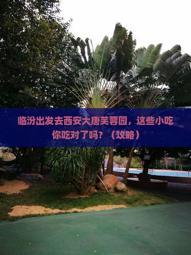 临汾去西安大唐芙蓉园旅游小吃